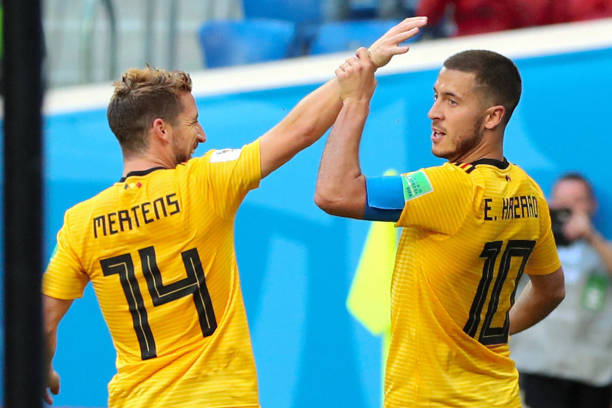 和新星维尼 和新星维尼